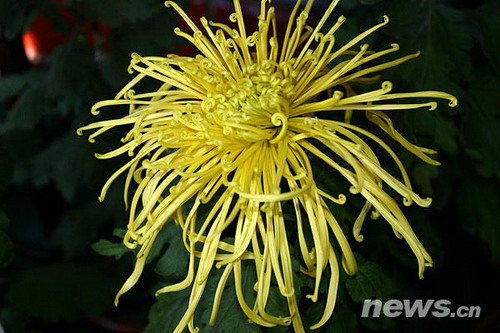 �ջ�Ʒ�N����ʥ�����