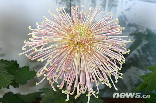 �ջ�Ʒ�N����Ȫ�l��ˮ