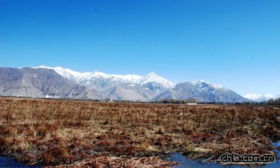 ӡ�����ء��������������