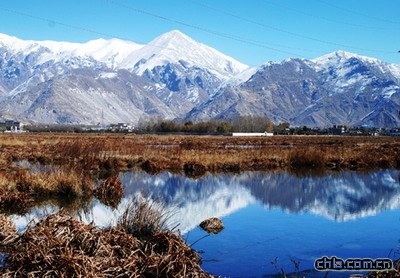 ӡ�����ء��������������