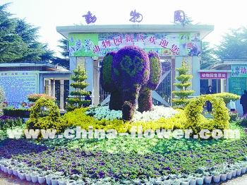 ���_�ջ�չ