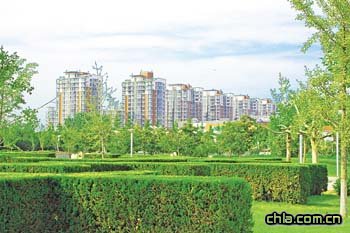 �@�ֳ���ϵ��֮����|���� �����w��