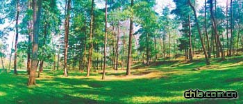 ���҈@�ֳ���ϵ��֮���l�]�h������ ���O���B�F�