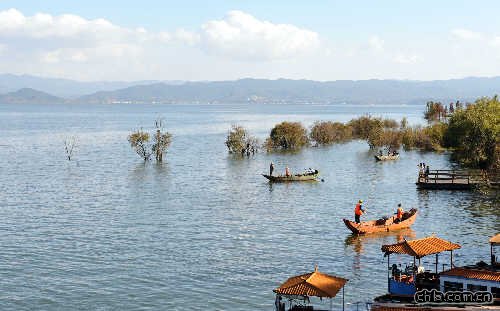 ���϶������I���B����ޏͳ�Ч���@