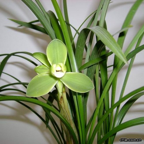 ��ζŽ^�m���ո�(�D)