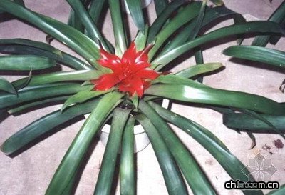 ���P���B�oҪ�c(�D)