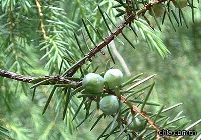 ���δ̰ؾG�h�S��������(�D)