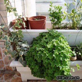 �Ŵ󷽷����컨�@�͏d(�M�D)