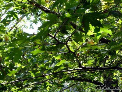 ���ľ�������m��(�D)