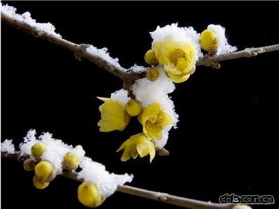 �D÷�_������p�ٵ�ԭ��(�D)