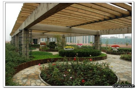 ��ί���h�����ďV��