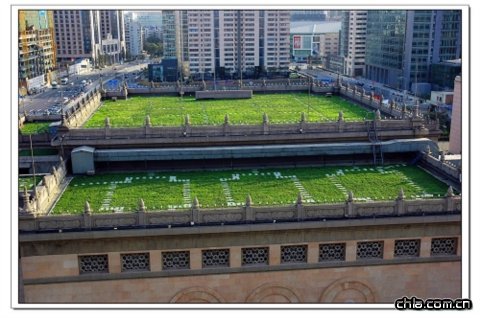 ���f���Ǻ��׾G����ҕ��