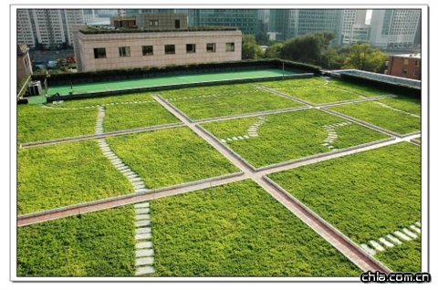 ��ί���h�Ǻ��׾G��