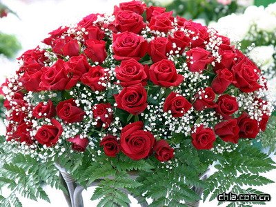 �Ꭷ���ϷNֲõ����ƿ�i