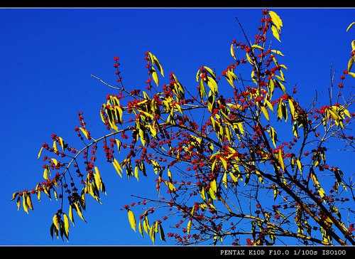 ȡ��Ȼ��ɫ����������֮�L��-����ɽ�f