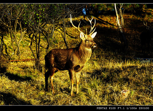 ȡ��Ȼ��ɫ����������֮�L��-����ɽ�f