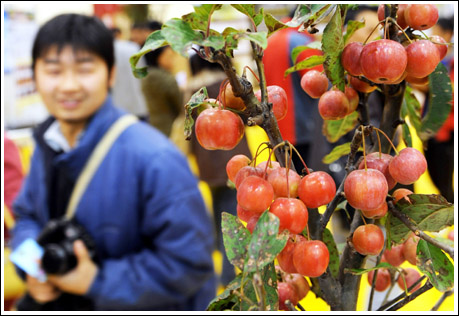 ���u��ľչ�[��(hu��)