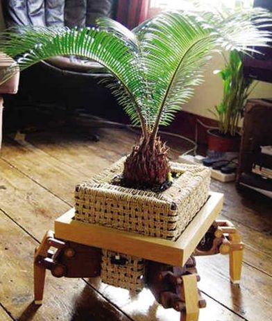 Ӣ�ƌW(xu��)�Ұl(f��)������C(j��)���� ���Sꖹ��Ƅ�