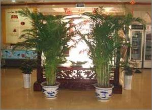 �҃ȾG����׌����G�ⰻȻ