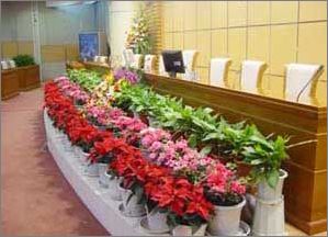 �҃ȾG����׌����G�ⰻȻ