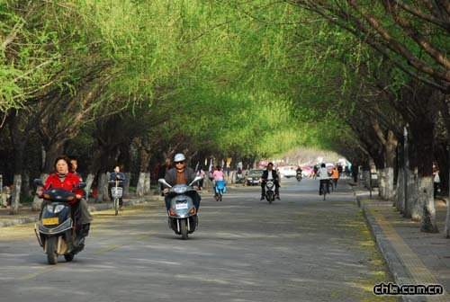 �S���@���Ї�����Ļ����B(t��i)���γ��С��Q̖(h��o)