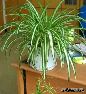 ��ͬ���ݶ����B(y��ng)�o(h��)��(y��ng)�^(q��)�e��(du��)��(�D)