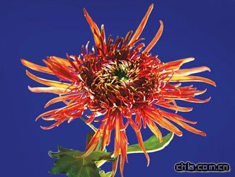 �Ϻ������ﶼ��ɭ�־ջ�չ�M������p����(�M�D)