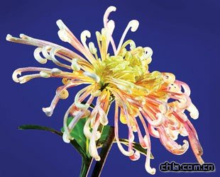 �Ϻ������ﶼ��ɭ�־ջ�չ�M������p����(�M�D)