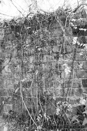 �Ͼ������������ǉ���266�Nֲ���L�Úg(�D)