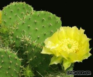 ����������ȥ�ϰ�(�D)