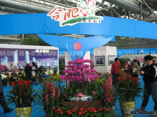 08�Ϸ��罻���״��Ƴ���ɫ�ָ��a(ch��n)Ʒչʾ