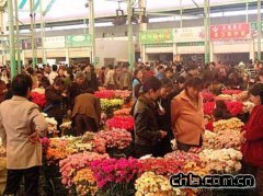 �����Ј�(ch��ng)