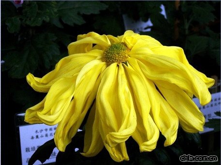 �ջ������Sʮ��(�D)