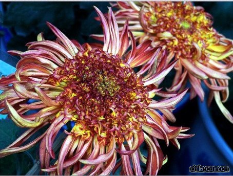 �ջ�������t�й�(�D)