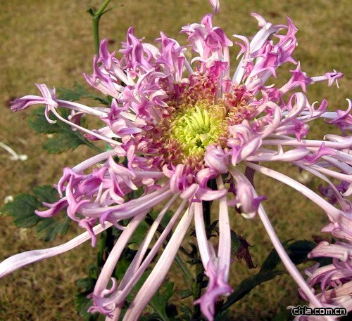 �ջ���������m(�D)