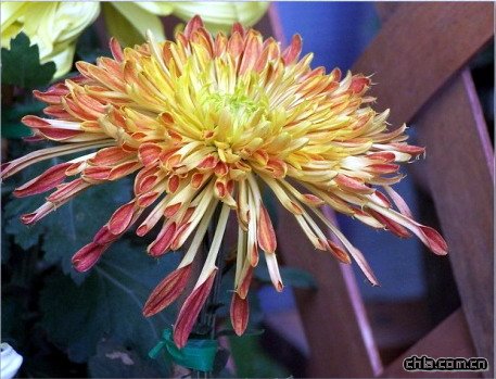 �ջ��������A����(�D)