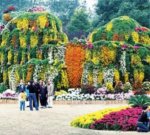 �Ϻ������ﶼ��ɭ�־ջ�չ�M������p����(�M�D)