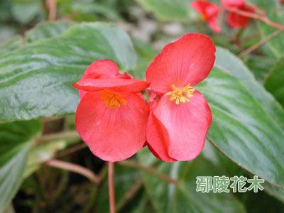 �ļ����Ķ������B�o����