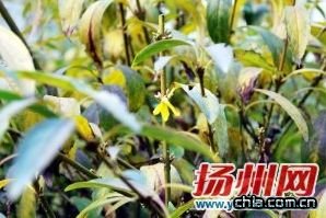 ������Ϟ÷�𻨜����[(�D)