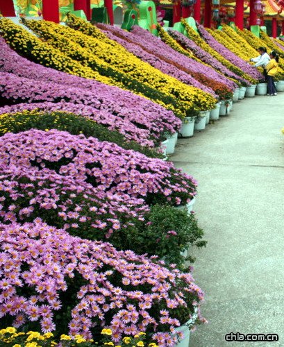 ���¾�����Ҫ�c(�D)