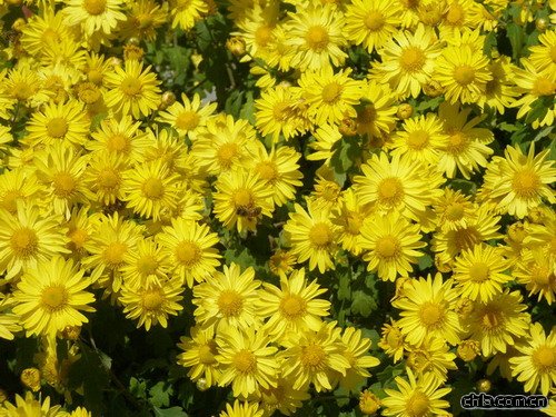 �ر��յđ�(y��ng)�ü��������(�D)