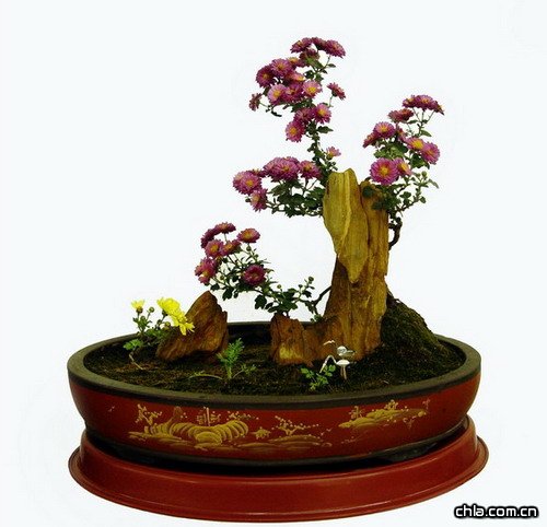 �ջ��辰�����ͷ������(�D)