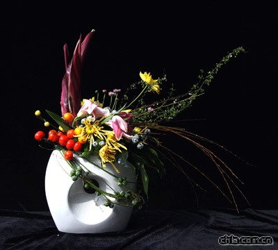 �廨ˇ�g���p֮�ջ�ƪ(�M�D)