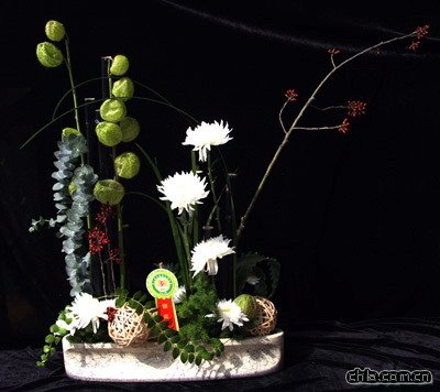 �廨ˇ�g���p֮�ջ�ƪ(�M�D)