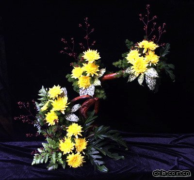 �廨ˇ�g���p֮�ջ�ƪ(�M�D)