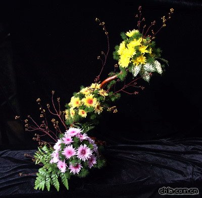 插花藝術(shù)欣賞之菊花篇(組圖)