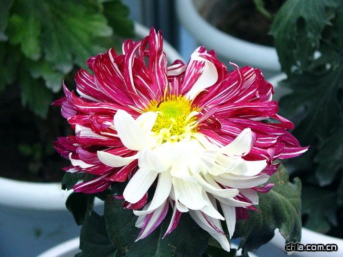 ���Ծջ������B�o�����E(�D)