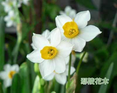 ˮ���������