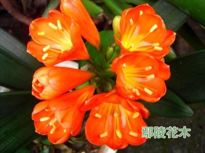 �����P�B(y��ng)���_�����m(�D)