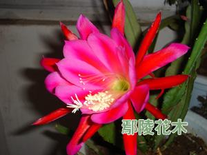 �����Ƽ޽�����ɻ��ļ��g(sh��)Ҫ�c(�D)